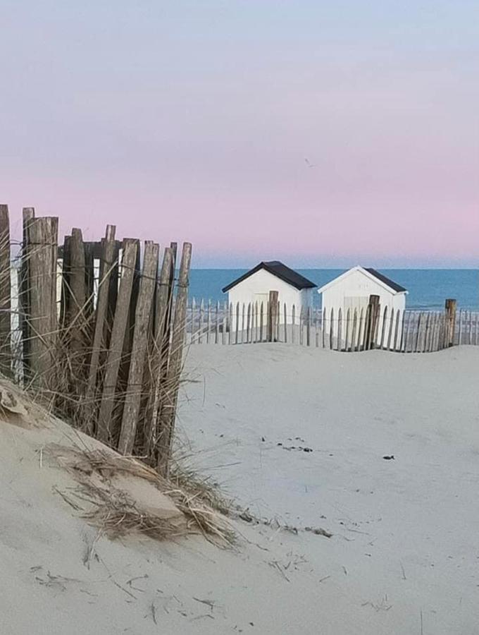 Le Presbytere Des Baraques A Bleriot-Plage - Apt 3 Sangatte Eksteriør bilde